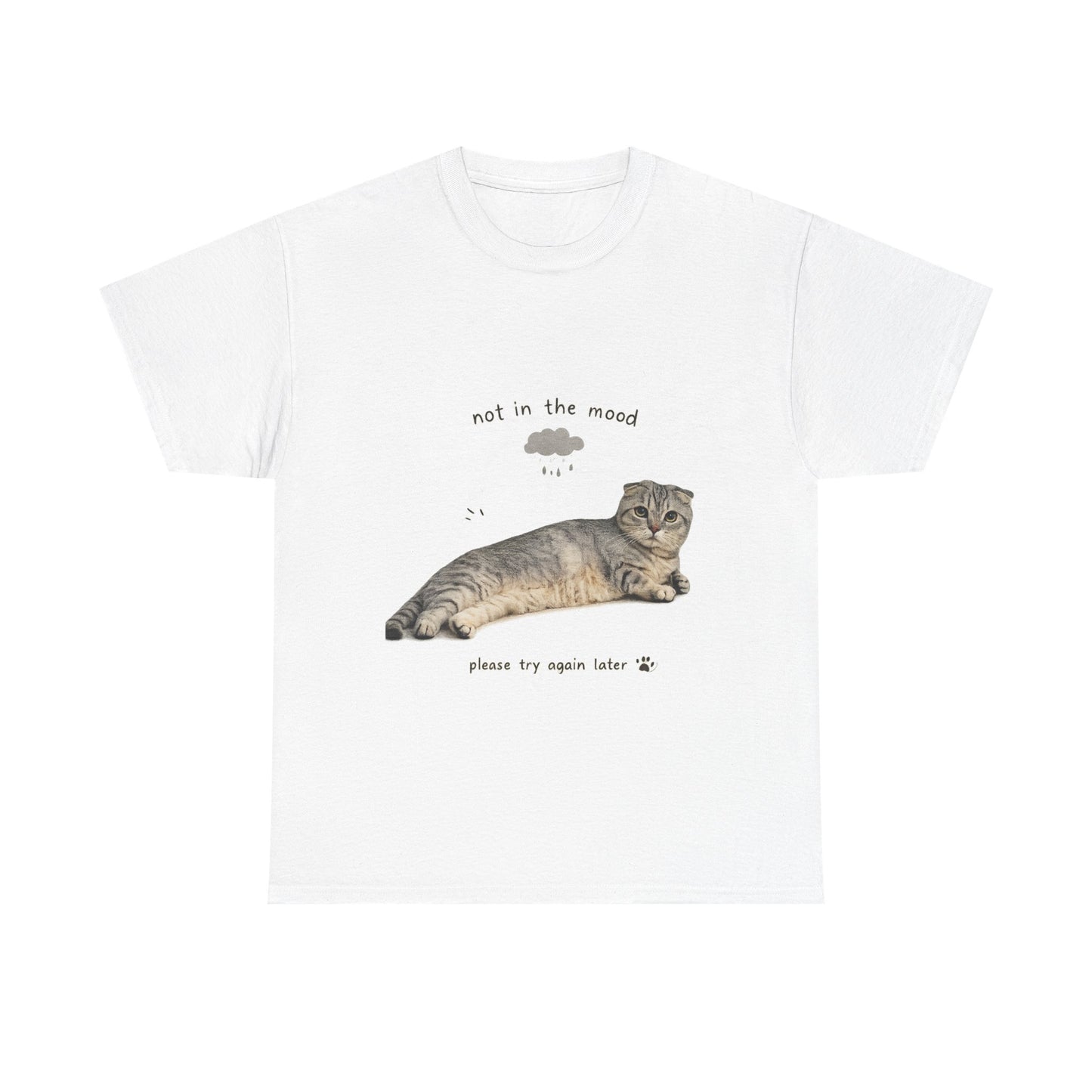 Cat 'Not in the Mood' T-Shirt — Cute Lazy Cat Graphic Tee
