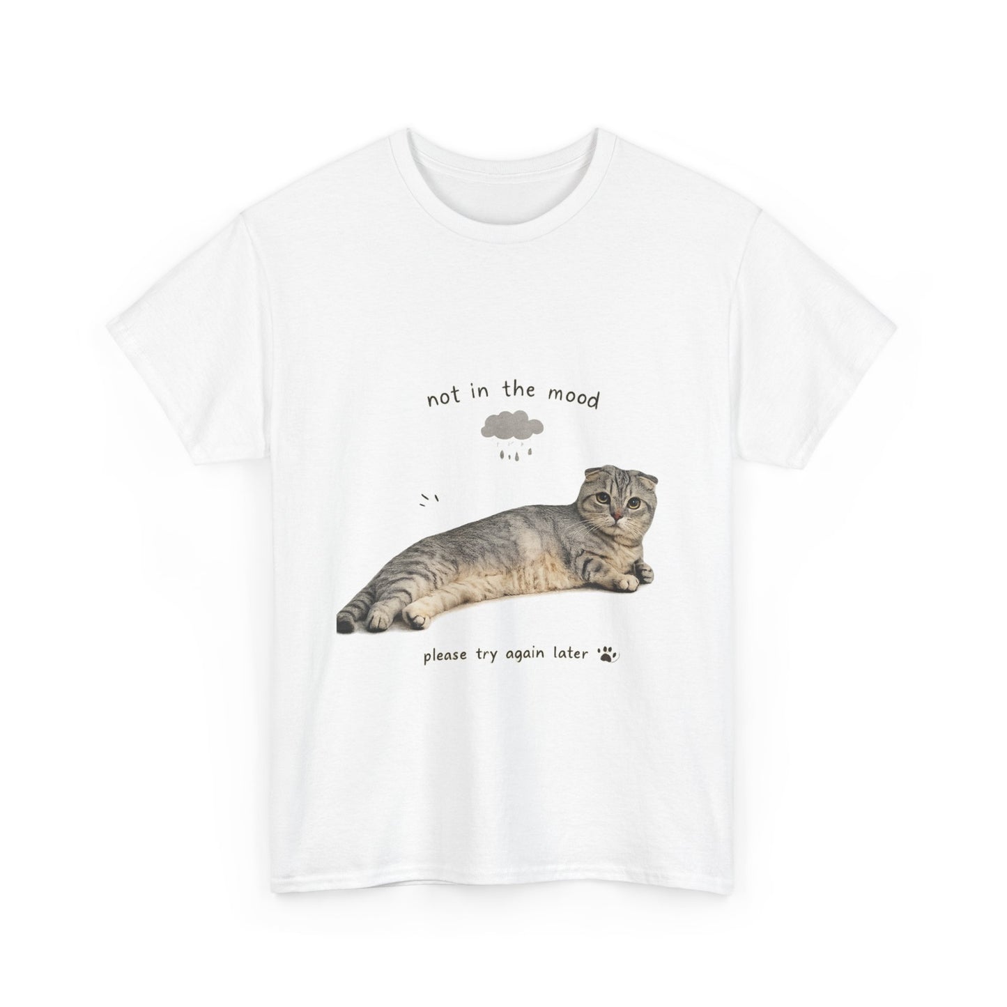Cat 'Not in the Mood' T-Shirt — Cute Lazy Cat Graphic Tee